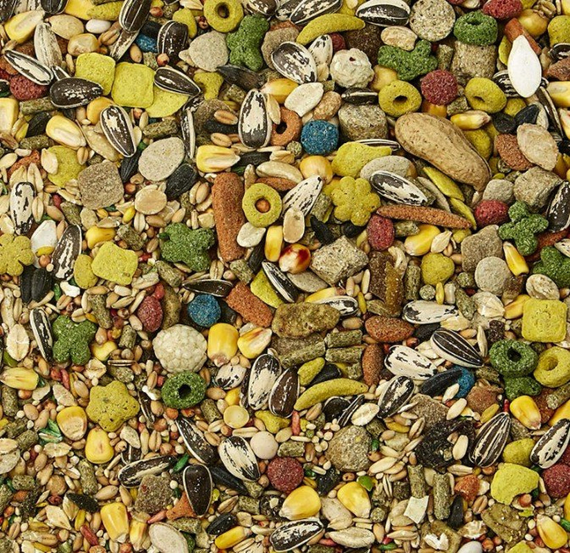 Fiesta Rodent Food Animals & Pet Supplies > Pet Supplies > Small Animal Supplies > Small Animal Food Kaytee Products, Inc