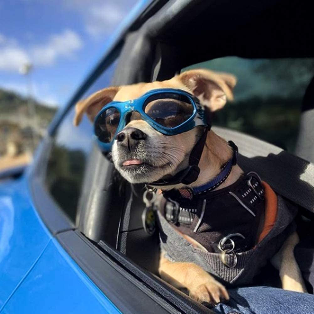 Enjoying Pet/Dog Puppy UV Goggles Sunglasses Waterproof Protection Sun Glasses for Dog - Blue Animals & Pet Supplies > Pet Supplies > Dog Supplies > Dog Apparel Enjoying