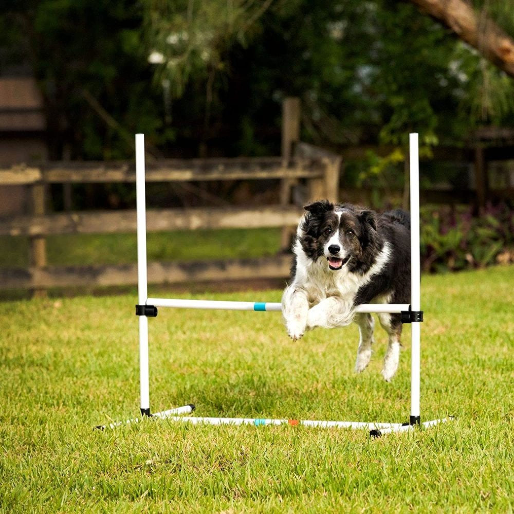 Bilot Dog Agility Bar Jump, 36 Wide. Height of Bar Is Adjustable so That Small to Large Dogs Can Jump over the Bar. Animals & Pet Supplies > Pet Supplies > Dog Supplies > Dog Treadmills Bilot