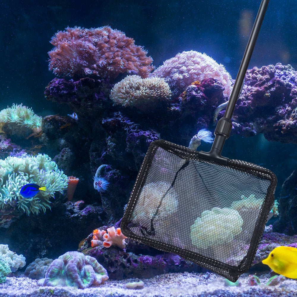 NICEXMAS Extendable Fishing Net Plastic Pole Handle Telescopic Landing Net Tuck Net for Fish Tank Lakes Ponds (Size L) Animals & Pet Supplies > Pet Supplies > Fish Supplies > Aquarium Fish Nets NICEXMAS