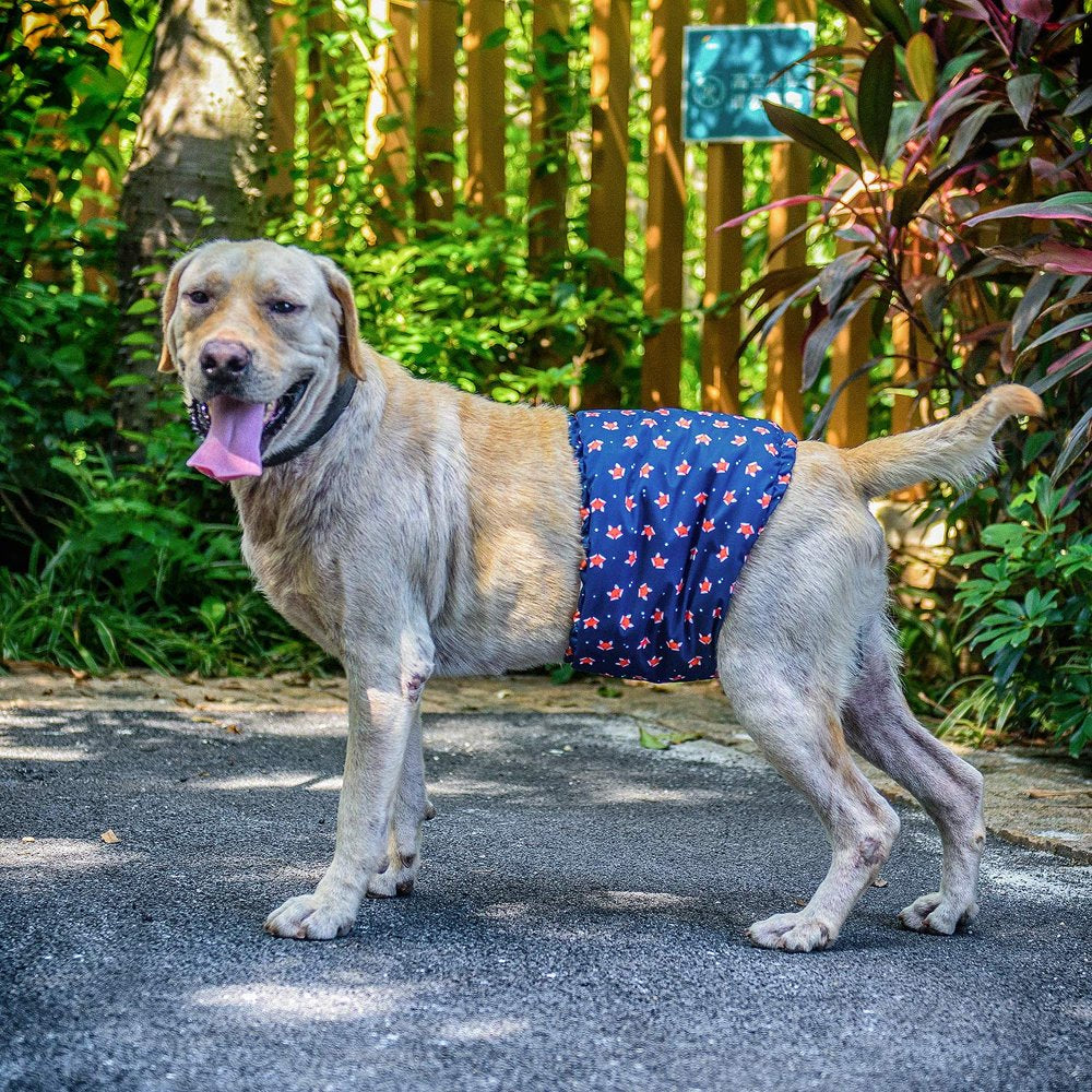 Belly Wrap Male Dog Washable Puppy Diapers 3Pcs a Pack DM02XL Animals & Pet Supplies > Pet Supplies > Dog Supplies > Dog Diaper Pads & Liners Home Décor