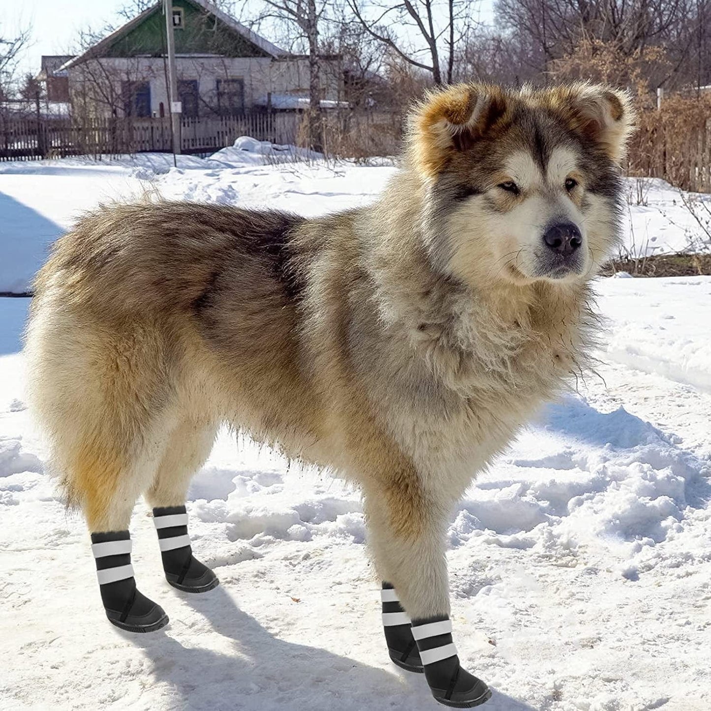BINGPET Dog Boots for Large Dogs - Waterproof Non-Slip Dog Shoes with Reflective and Adjustable Straps - Ourdoor Dog Paw Protectors in Winter Animals & Pet Supplies > Pet Supplies > Dog Supplies > Dog Apparel BINGPET