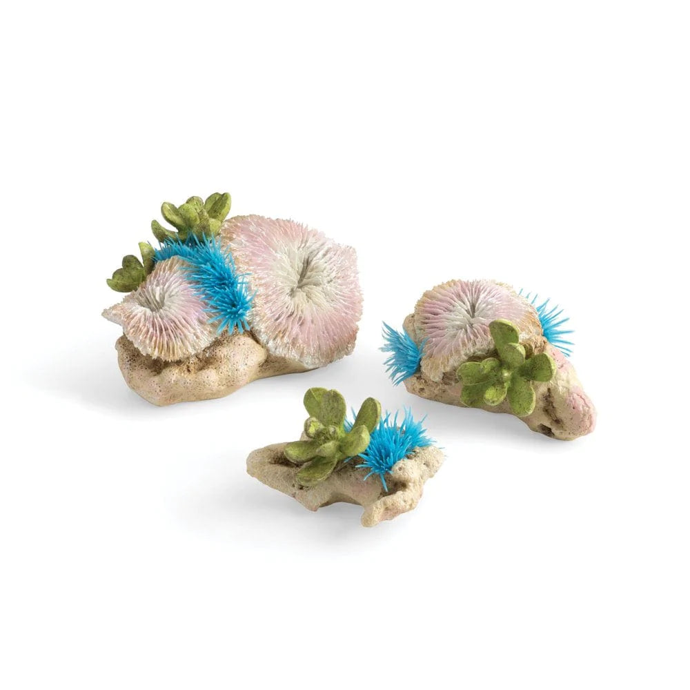 Biorb Plate Corals & Button Polyps Aquarium Decor Set of 3 Animals & Pet Supplies > Pet Supplies > Fish Supplies > Aquarium Decor biOrb