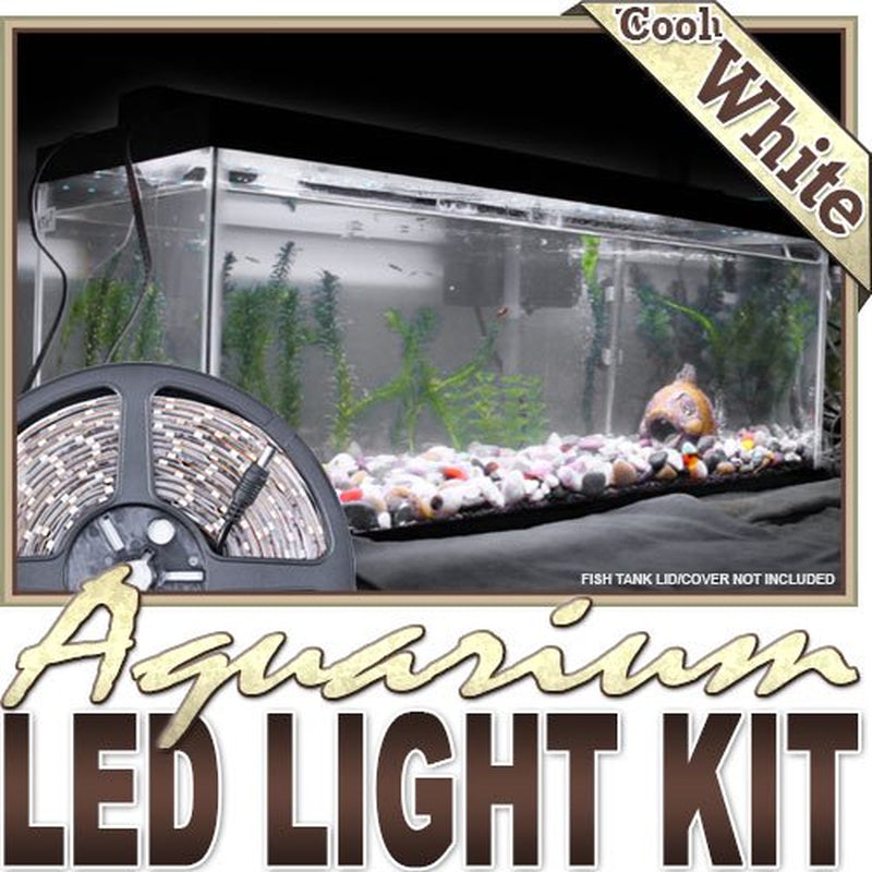 Biltek 6' Ft Warm White Aquarium Saltwater White LED Strip Lighting Complete Package Kit Lamp Light DIY - Main Lighting Sub Fresh Water Salt Water Tank Water Resistant 3528 SMD Flexible DIY 220V Animals & Pet Supplies > Pet Supplies > Fish Supplies > Aquarium Lighting Oakeskaran