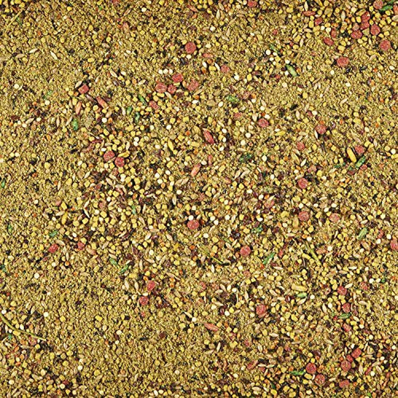 Kaytee Forti-Diet Pro Health Molting and Conditioning for All Pet Birds, 11-Oz Jar Animals & Pet Supplies > Pet Supplies > Bird Supplies > Bird Treats Kaytee