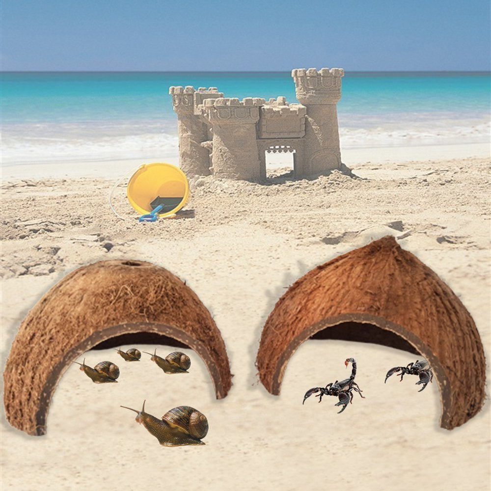 Visland Hermit Crab Shell Growth Seashells Natural Coconut Shells Hut for Fish Tank Decor Hide Reptile Hideouts for Pet, Reptile, Lizard Animals & Pet Supplies > Pet Supplies > Fish Supplies > Aquarium Decor Visland