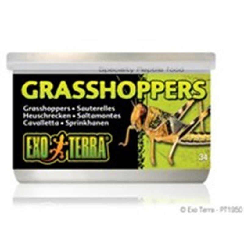 Exo Terra Grasshopper Reptile Food, Insects, 1.2 Oz. Can Animals & Pet Supplies > Pet Supplies > Reptile & Amphibian Supplies > Reptile & Amphibian Food Exo Terra
