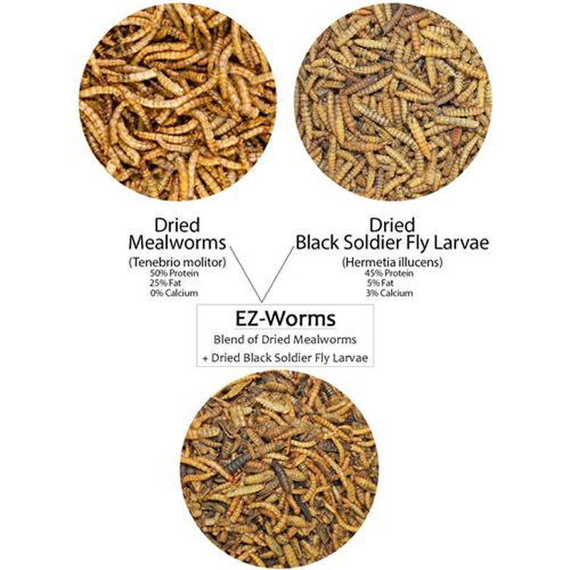 Exotic Nutrition Ez-Worm 20Lb Animals & Pet Supplies > Pet Supplies > Small Animal Supplies > Small Animal Food Exotic Nutrition