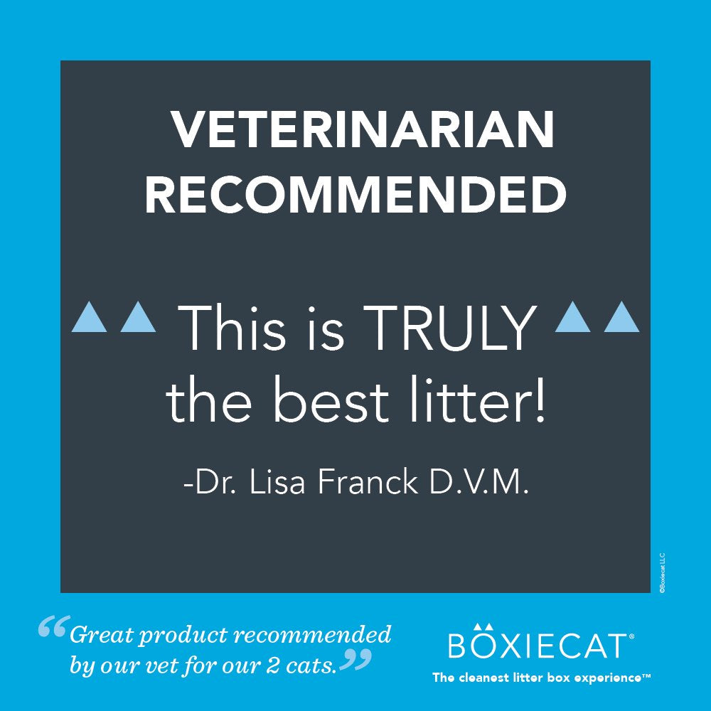 Boxiecat All Natural, Scent Free, Premium Clumping Clay Litter, 28 Lb. Animals & Pet Supplies > Pet Supplies > Cat Supplies > Cat Litter Boxiecat LLC