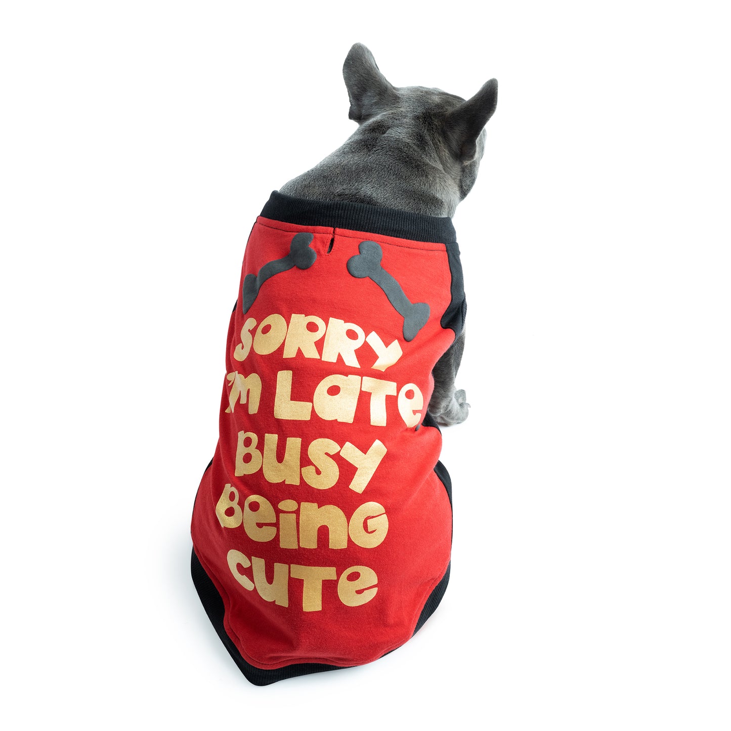 JOLLY KNITS DOG TSHIRT -Busy Being Cute - Medium Animals & Pet Supplies > Pet Supplies > Dog Supplies > Dog Apparel Major Label Group