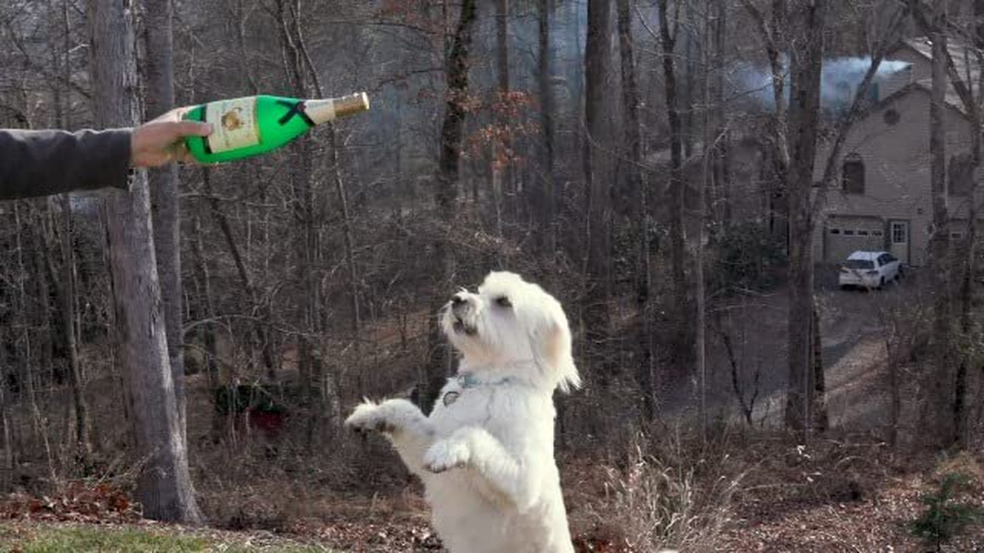 Silly Squeakers – Wine Bottles - Dog Toy - 100% Vinyl. Made Durable & Strong. Novelty Play Toy & It Floats Animals & Pet Supplies > Pet Supplies > Dog Supplies > Dog Toys VIP Products