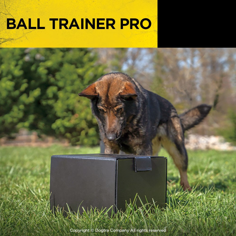 Dogtra BALL TRAINER PRO Dog Trainer Rechargeable 100-Yard Dual-Function Launcher/Dropper Animals & Pet Supplies > Pet Supplies > Dog Supplies > Dog Treadmills Dogtra