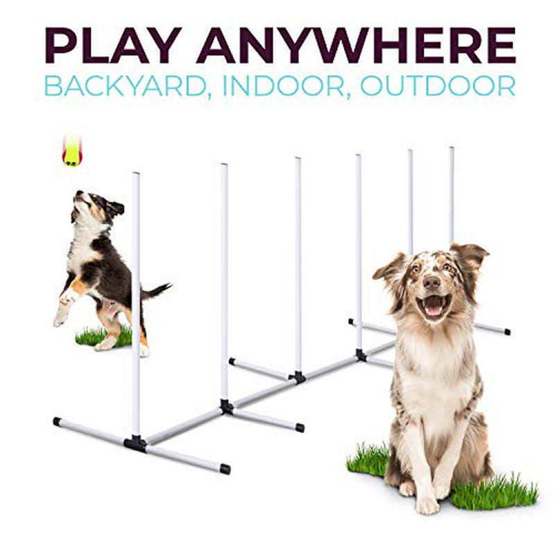 CHEERING PET, Dog Agility Training Equipment, 4 Piece Dog Obstacle Course Includes Dog Jump, Tire Jump, Pause Box and Weave Poles with Carrying Case, Indoor or Outdoor Dog Agility Training Animals & Pet Supplies > Pet Supplies > Dog Supplies > Dog Treadmills Sun Biomass