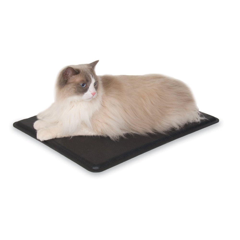 K&H Thermo Kitty Pet Cat Bed, Green Animals & Pet Supplies > Pet Supplies > Cat Supplies > Cat Beds K&H Pet Products Black