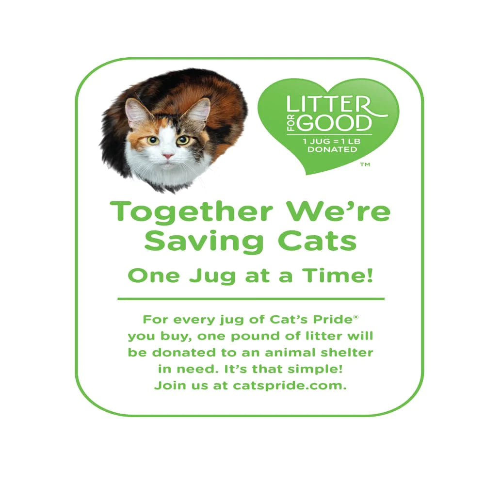 Cat'S Pride Max Power Natural Care Unscented Multi-Cat Clumping Litter, 15 Lb Jug Animals & Pet Supplies > Pet Supplies > Cat Supplies > Cat Litter Oil-Dri Corporation of America