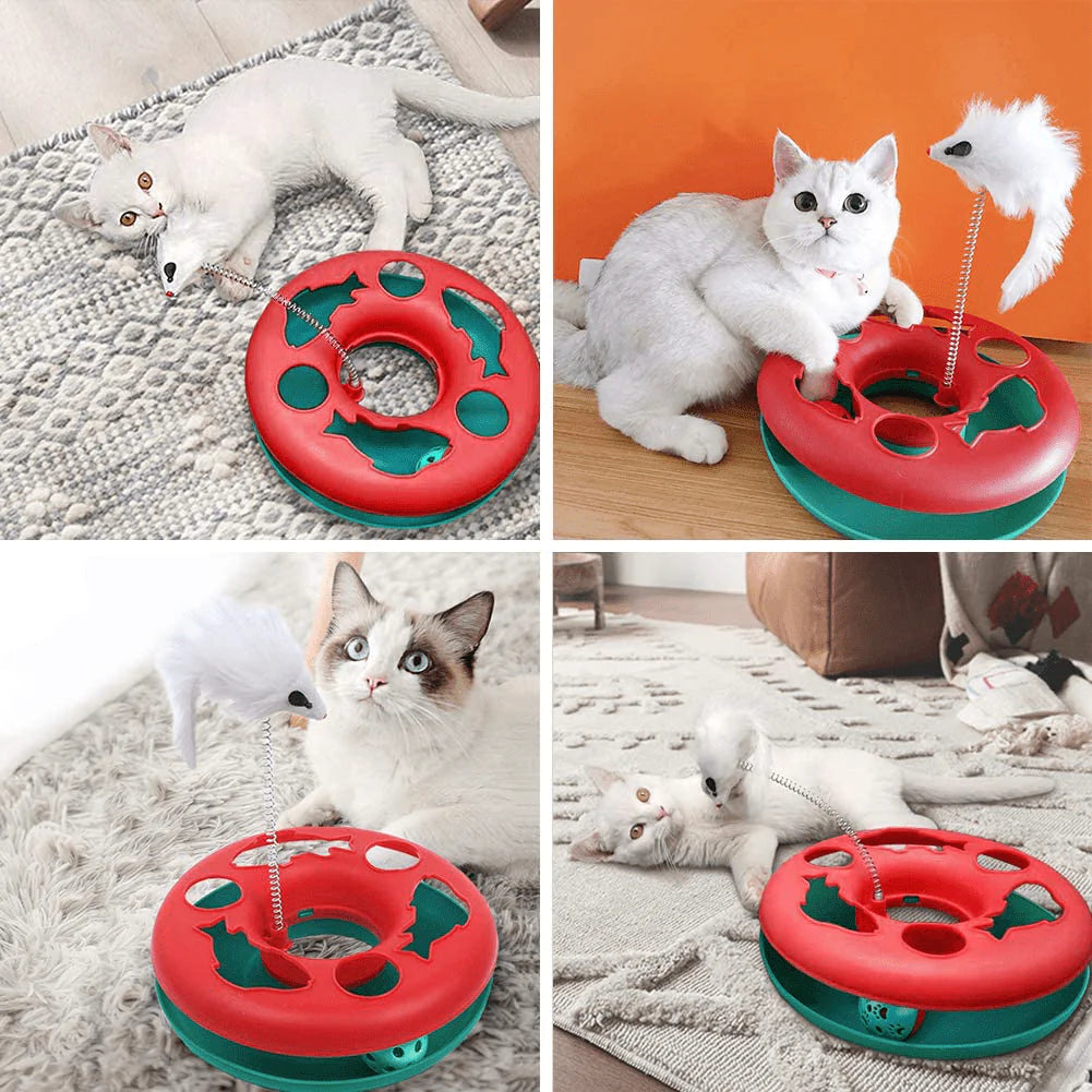 Cat Toys, Cat Toys for Indoor Cats,Interactive Kitten Toys Roller Tracks with Catnip Spring Pet Toy with Exercise Balls Teaser Mouse Animals & Pet Supplies > Pet Supplies > Cat Supplies > Cat Toys Pawzone