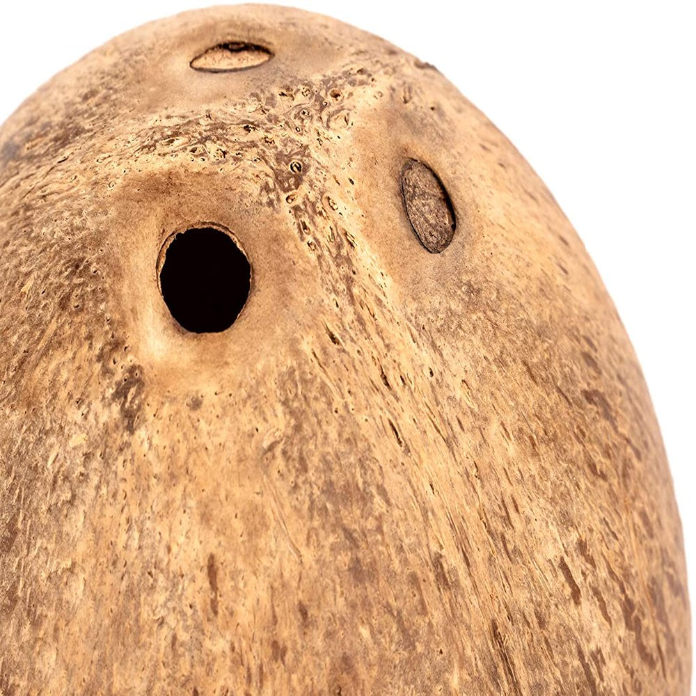 Coconut Hut Hamster House Bed: for Gerbils Mice Small Animal Cage Habitat Decor for Dwarf Syrian Hamster Mice Gerbils Animals & Pet Supplies > Pet Supplies > Small Animal Supplies > Small Animal Habitats & Cages Pakainn