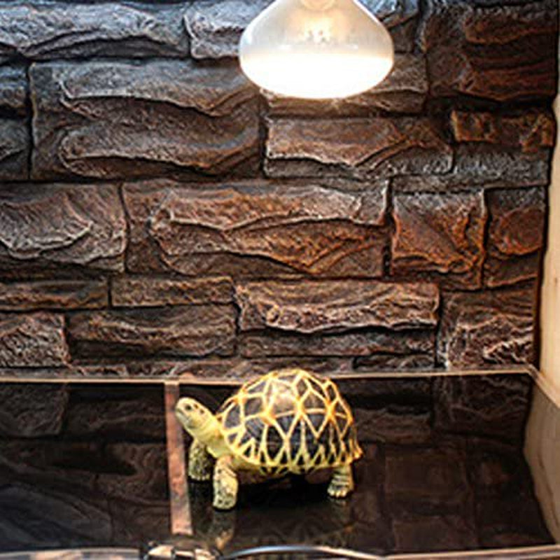 Reptile Warmer Mat under Tank Heater with Temperature Controller Animals & Pet Supplies > Pet Supplies > Reptile & Amphibian Supplies > Reptile & Amphibian Substrates Foeses