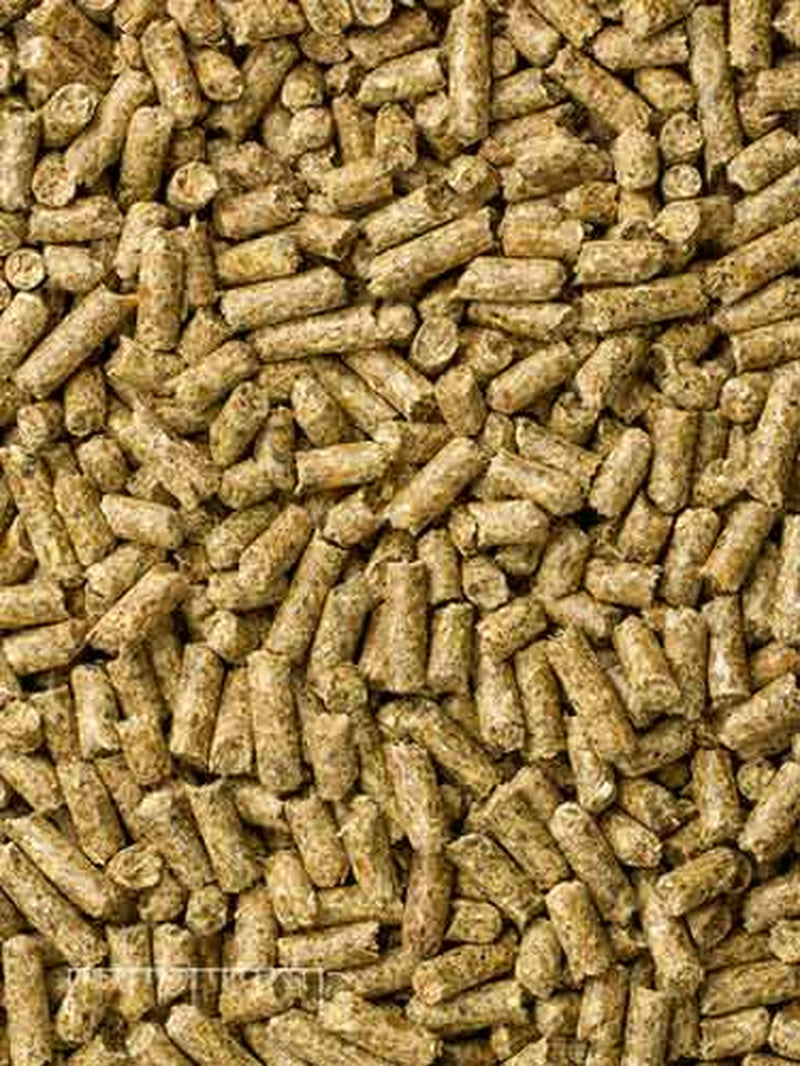 Mazuri Timothy-Based Guinea Pig Food, 5 Lbs. Animals & Pet Supplies > Pet Supplies > Small Animal Supplies > Small Animal Food Mazuri