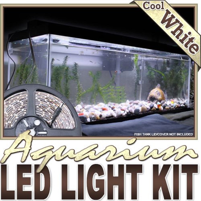 Biltek 16.4' Ft Cool White Aquarium Fish Tank White LED Lighting Strip + Dimmer + Remote + Wall Plug 110V - Main Lighting Fresh Water Salt Water Tanks Water Resistant 3528 SMD Flexible DIY 110V-220V Animals & Pet Supplies > Pet Supplies > Fish Supplies > Aquarium Lighting KapscoMoto