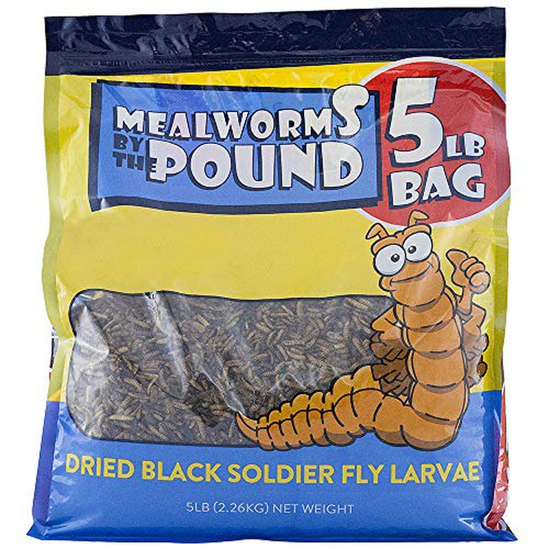 Mealworms by the Pound Bulk Dried Black Soldier Fly Larva - Treats for Chickens & Wild Birds (5 Lbs) Animals & Pet Supplies > Pet Supplies > Bird Supplies > Bird Treats Mealworms by the Pound
