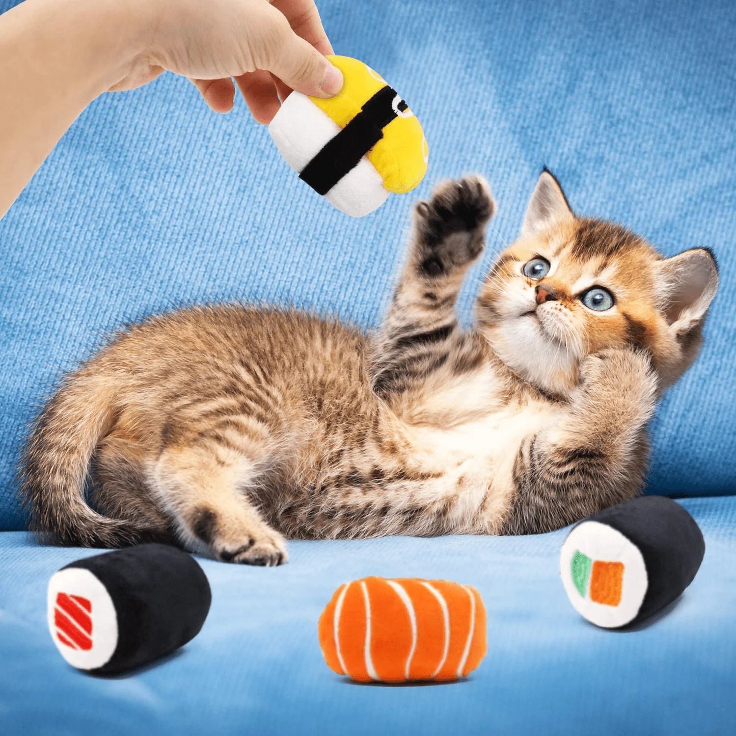 Ciyvolyeen 6 Pack Sushi Cat Toys with Catnip Sushi Roll Pillow Kitten Chew Bite Supplies Boredom Relief Fluffy Kitty Teeth Cleaning Chewing Cat Lovers Interactive Plush Gift Animals & Pet Supplies > Pet Supplies > Cat Supplies > Cat Toys CiyvoLyeen