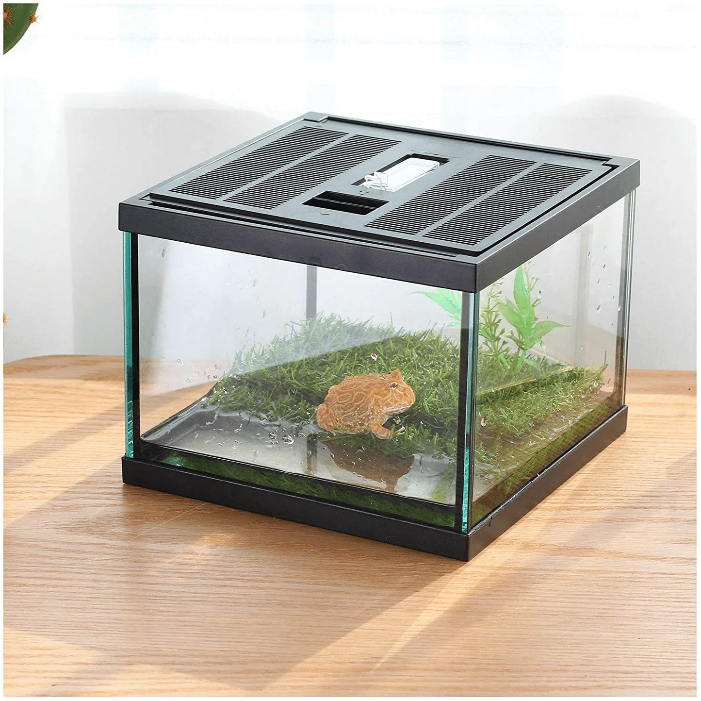 Crapelles Pac Frogs Glass Terrarium Feeding Kit Tank, Waterproof,For Small Amphibians, Insect, Horned Frogs. Waterweed / Prairie Style Habitat,With Green Artificial Turf Pad, (Excluding Animals) Animals & Pet Supplies > Pet Supplies > Reptile & Amphibian Supplies > Reptile & Amphibian Substrates crapelles