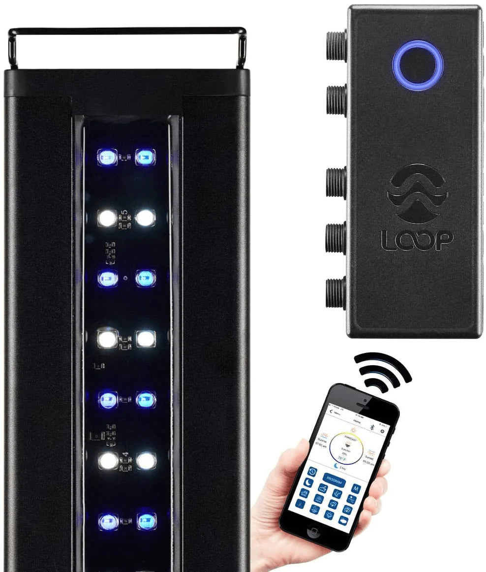 CURRENT USA Orbit Marine IC LED Saltwater Reef Aquarium Light | with Wireless Lighting & Wave Pump Control | Loop App - Bluetooth Animals & Pet Supplies > Pet Supplies > Fish Supplies > Aquarium Lighting Current 48"-60"