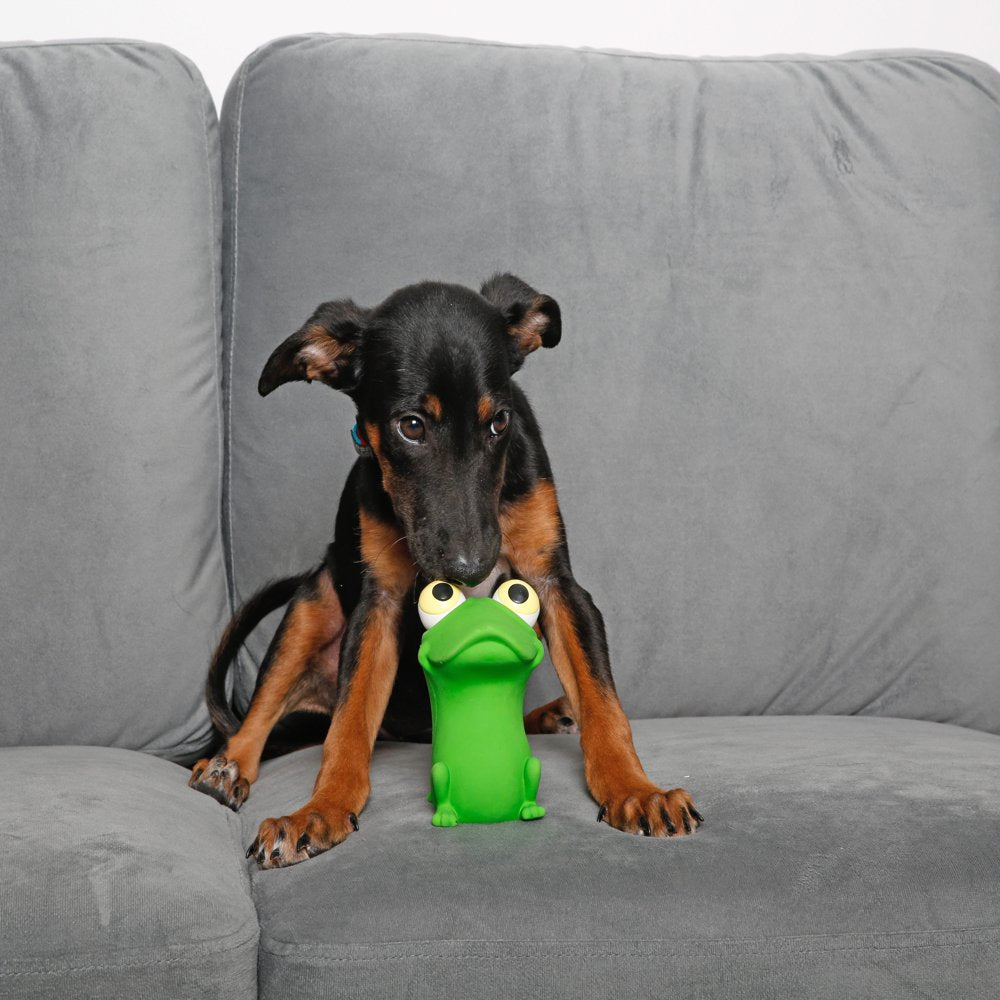 Hartz Bug Eyes Dog Toy, Animal May Vary Animals & Pet Supplies > Pet Supplies > Dog Supplies > Dog Toys Hartz Mountain Corp