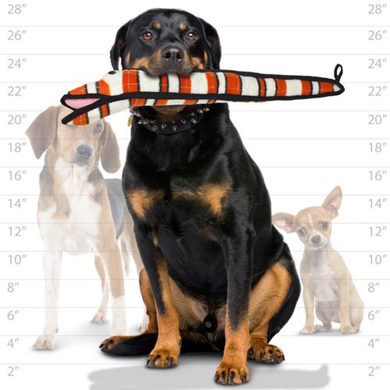 Tuffy Ocean Creature Eel, Durable Dog Toy Animals & Pet Supplies > Pet Supplies > Dog Supplies > Dog Toys VIP Products