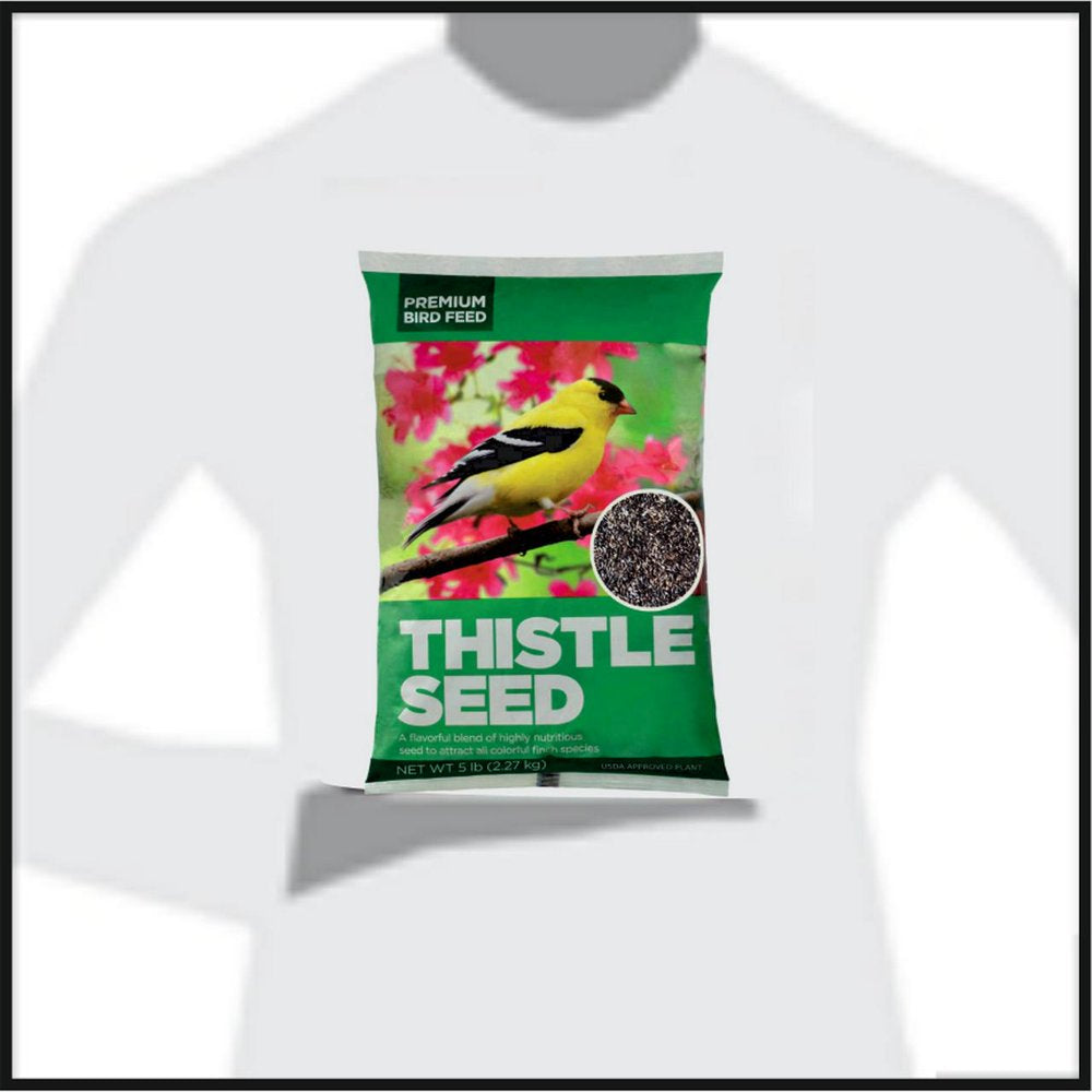 Premium Sterilized Natural Black Thistle Seed,Wild Bird Feed 5LB Animals & Pet Supplies > Pet Supplies > Bird Supplies > Bird Treats ASA Agrotech Private Limited