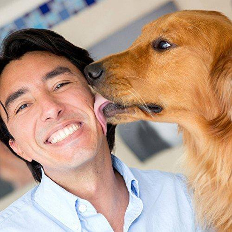 Teamoy Reusable Wrap Diapers for Male Dogs, Washable Puppy Belly Band S(10&Quot;-13&Quot;Waist) Black+ Gray+ Green+ Purple Animals & Pet Supplies > Pet Supplies > Dog Supplies > Dog Diaper Pads & Liners Damero INC