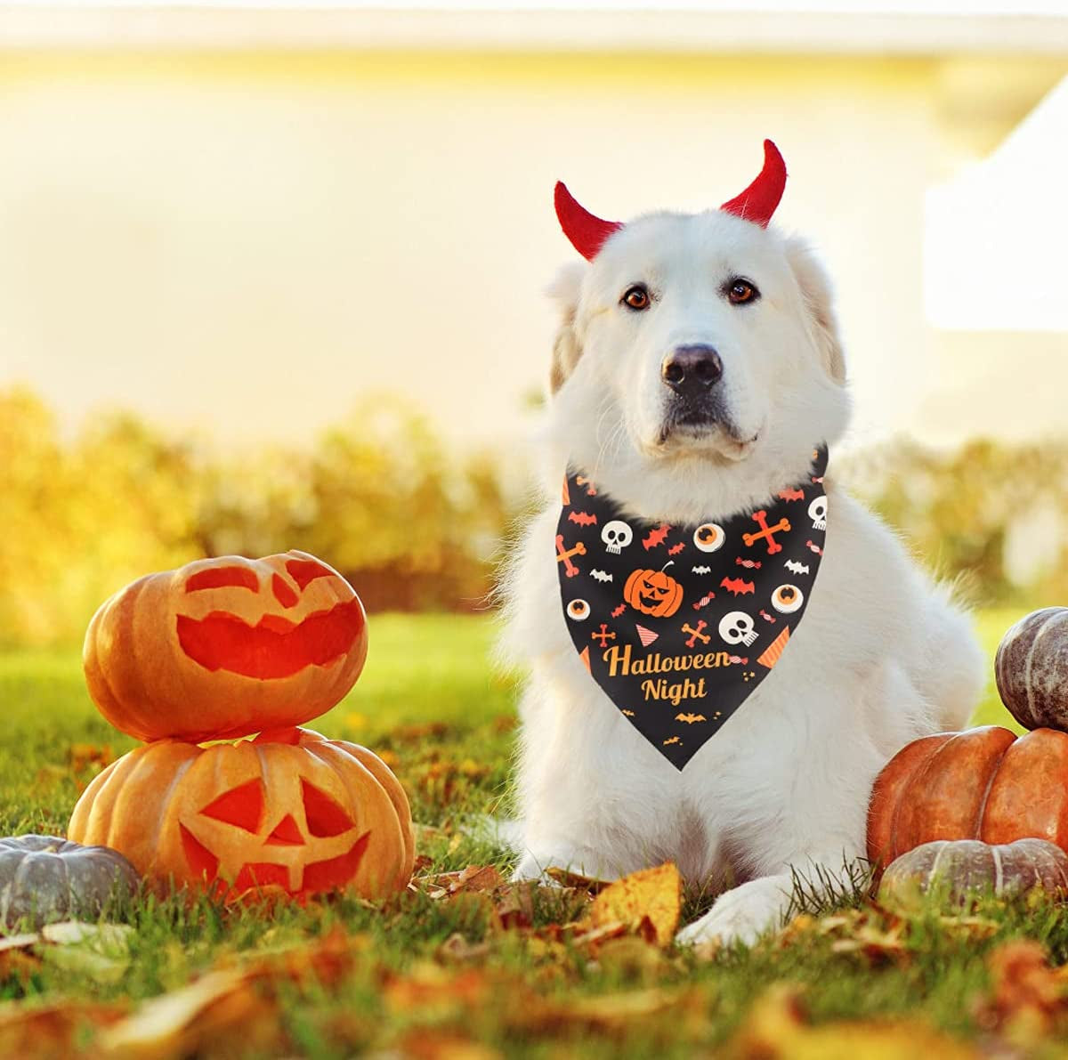 Kytely 2 Pack Halloween Costumes Dog Bandanas Double Sided Pumpkin Halloween Bandanas/Outfits for Dogs Cats Pet Reversible Triangle Pet Bandanas Scarf Bibs Accessories Animals & Pet Supplies > Pet Supplies > Dog Supplies > Dog Apparel Kytely