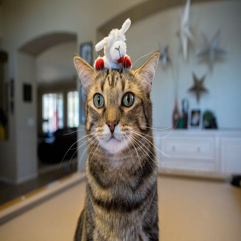 Multipet Mr. Bill, Garfield, Lamb Chop, Wood Woodpecker Plush Cat Toy Assortment Animals & Pet Supplies > Pet Supplies > Cat Supplies > Cat Toys Multipet International