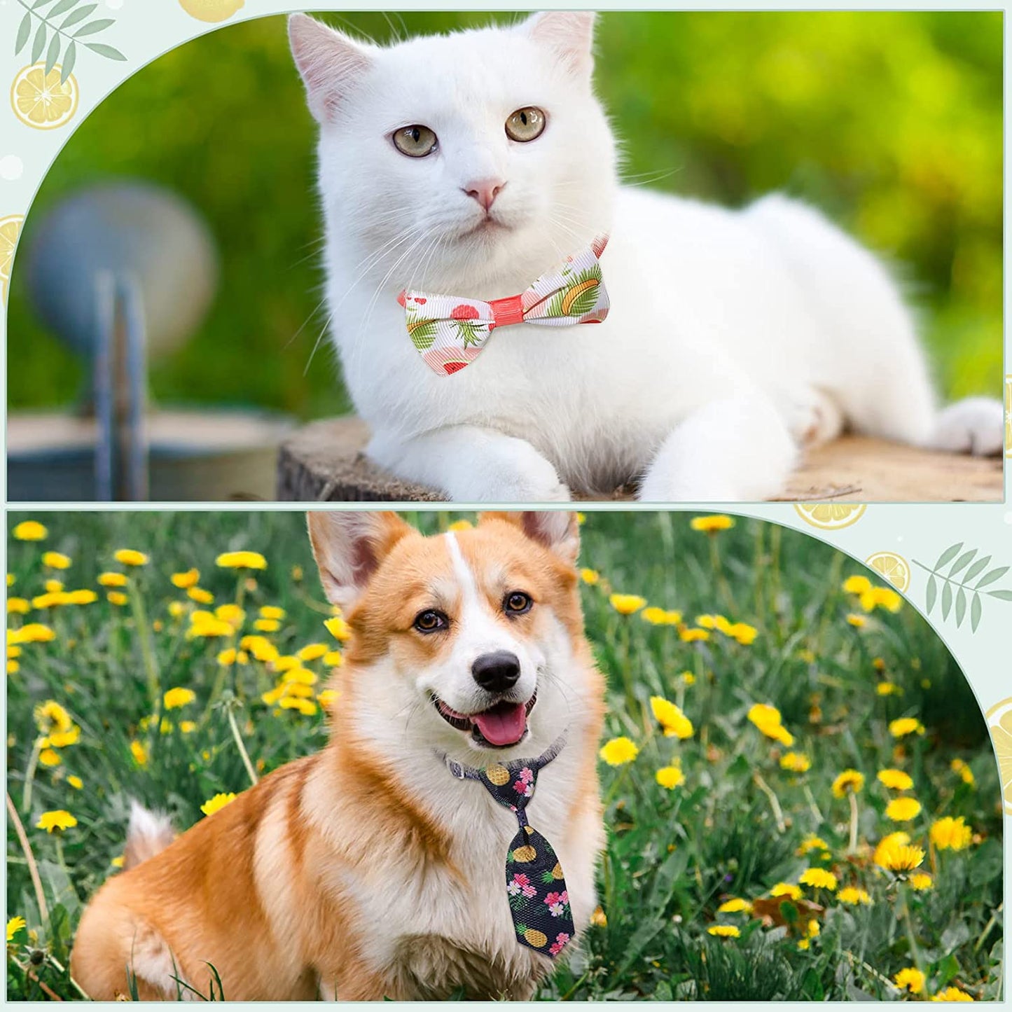 40 Pieces Dog Bow Tie Collar Set Includes 20 Bowties and 20 Neckties with Adjustable Collar Summer Pet Tie Set Cooling Summer Style Dog Accessories for Small Medium Dog Puppy Cat Summer Wearing Animals & Pet Supplies > Pet Supplies > Dog Supplies > Dog Apparel Weewooday