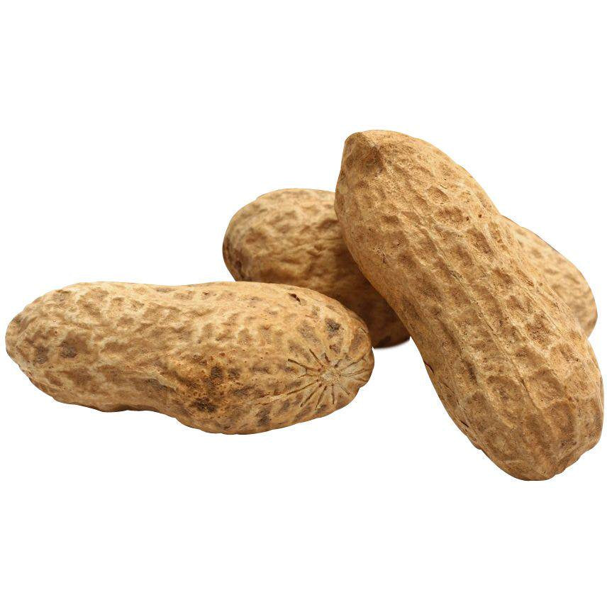 Brown'S Song Blend Unsalted In-Shell Whole Peanuts Bird Food, 10 Lb. Animals & Pet Supplies > Pet Supplies > Bird Supplies > Bird Food Browns