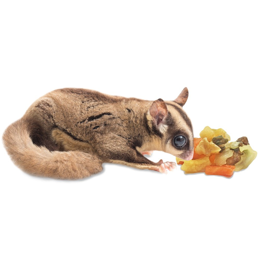 Exotic Nutrition Glider Essential Deluxe Food Starter Package - Zoopro Glider Essential, Zoopro Garden Fresh Re-Hydrate, Instant-Hpw Insect & Fruit Recipe Animals & Pet Supplies > Pet Supplies > Small Animal Supplies > Small Animal Food Exotic Nutrition