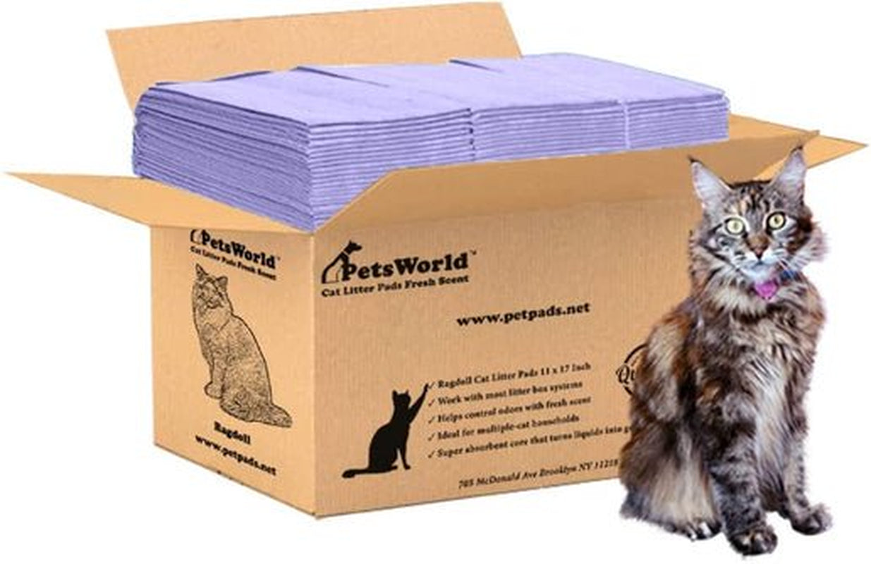 Maine Coon Cat Litter Pads 11X17 Inch Breeze Compatible Refills - 50 Count Animals & Pet Supplies > Pet Supplies > Cat Supplies > Cat Litter PetsWorld