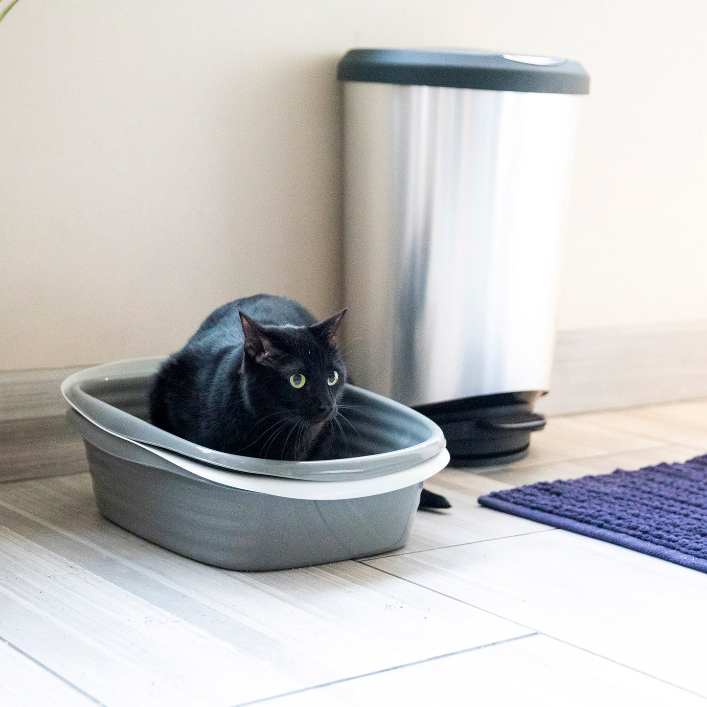 Arm & Hammer Light Gray Sifting Cat Litter Box, Large, 15.21" W X 18" L Animals & Pet Supplies > Pet Supplies > Cat Supplies > Cat Furniture Doskocil Manufacturing Co Inc