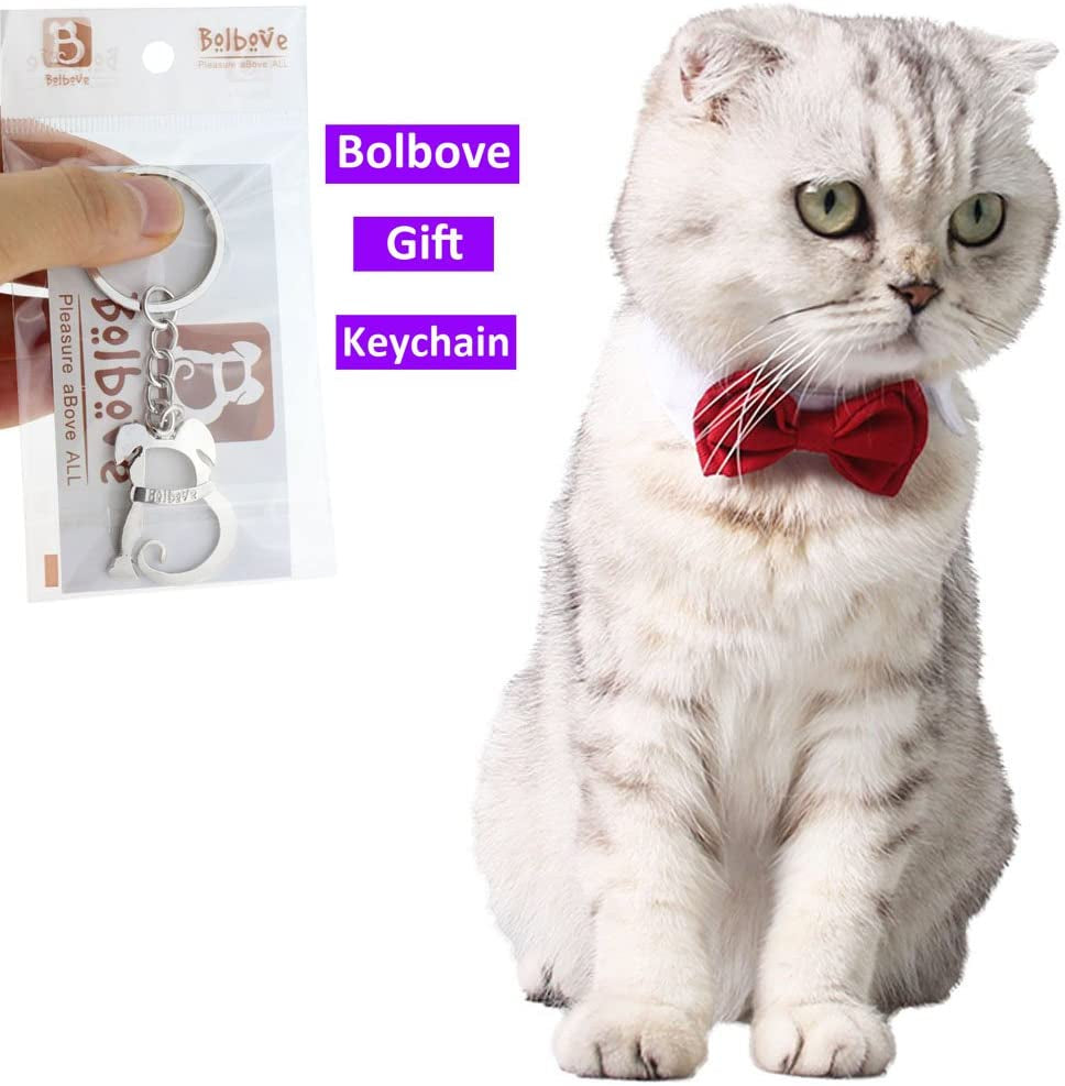 Bolbove Adjustable Formal Pet Bowtie Collar Neck Tie for Dogs & Cats (Small, Red) Animals & Pet Supplies > Pet Supplies > Dog Supplies > Dog Apparel Bolbove