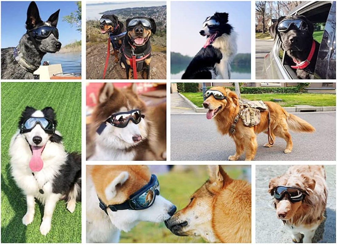 Gesuche Dog Sunglasses Dog Goggles,Uv Protection Wind Protection Dust Protection Snow Protection Fog Protection Pet Glasses Eye Wear Protection with Adjustable Strap for Medium or Large Dog Animals & Pet Supplies > Pet Supplies > Dog Supplies > Dog Apparel Gesuche