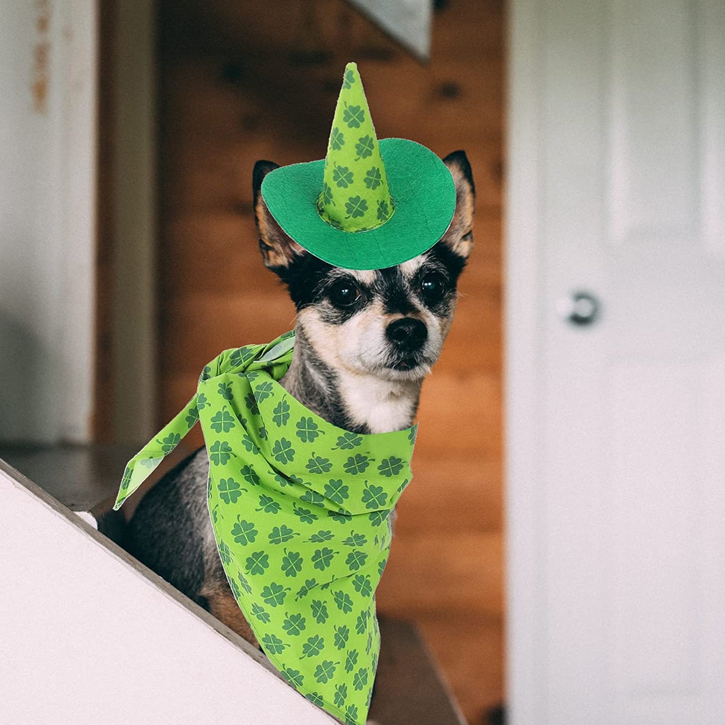 St. Patricks Day Pet Costume Set Shamrock Pattern Dog Bib Irish Festival Dog Hat Adjustable Clover Bow Tie for St. Patricks Day Favors (Color : Green) Animals & Pet Supplies > Pet Supplies > Dog Supplies > Dog Apparel OLIMY