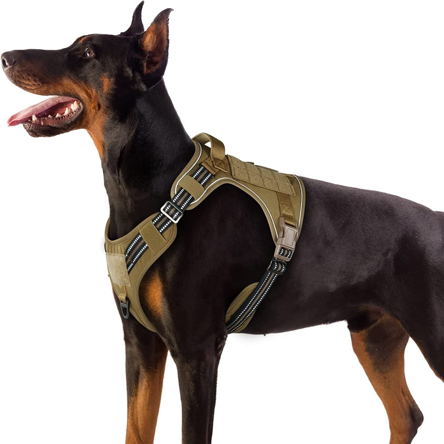 Rabbitgoo Tactical Dog Harness No Pull, Military Dog Vest Harness with Handle & Molle, Easy Control Service Dog Harness for Large Dogs Training Walking, Adjustable Reflective Pet Harness, Black, L Animals & Pet Supplies > Pet Supplies > Dog Supplies > Dog Apparel GLOBEGOU CO.,LTD Brown X-Large 