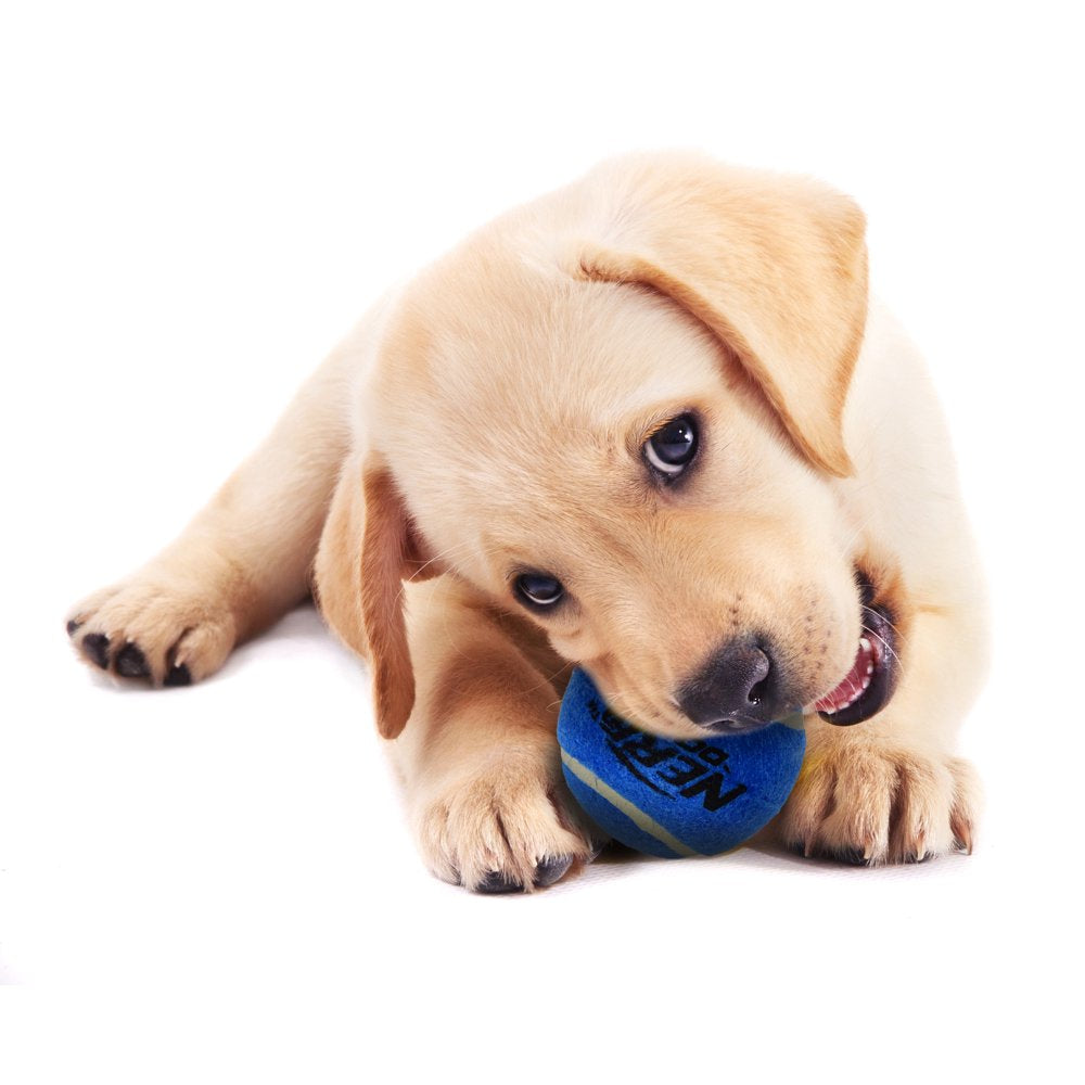 Nerf Dog 2” Squeak Tennis Ball Dog Toy 4-Pack Animals & Pet Supplies > Pet Supplies > Dog Supplies > Dog Toys Gramercy Products