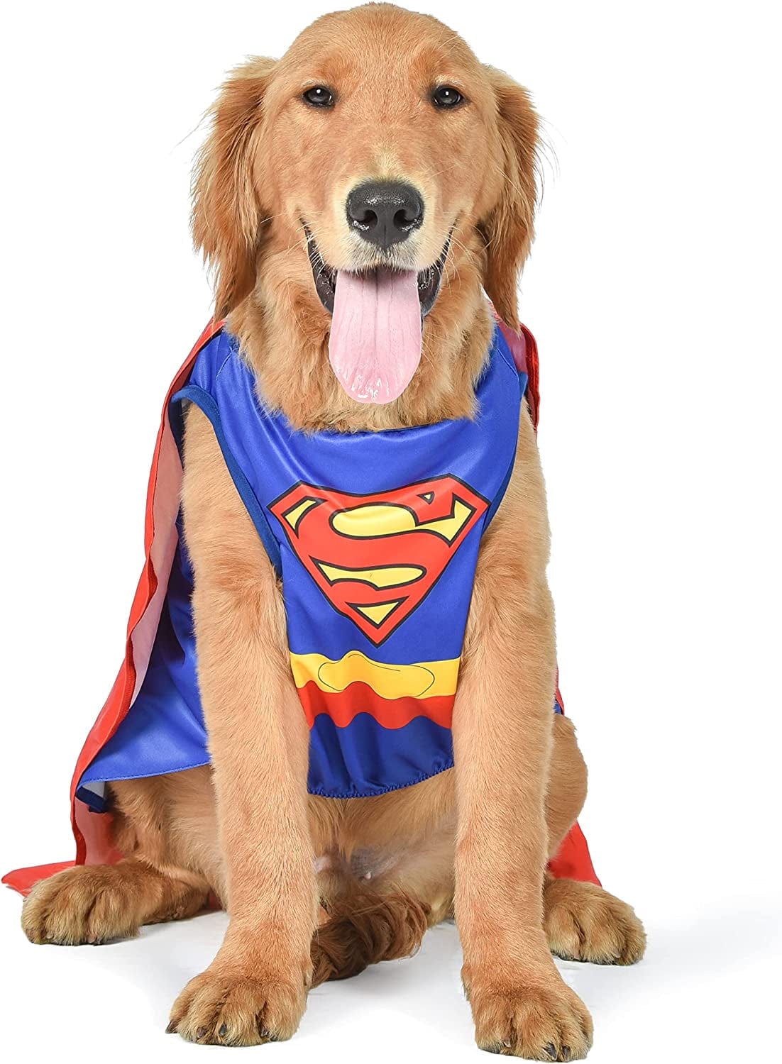 DC Superhero Superman Halloween Dog Costume - Small 