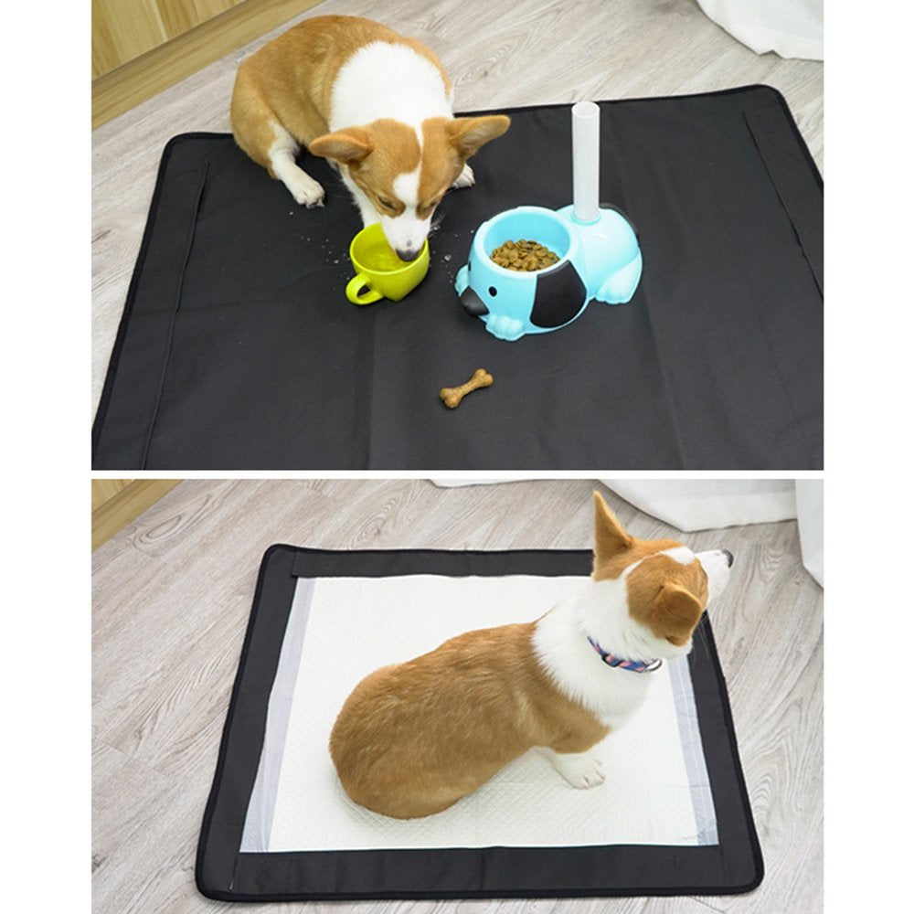 Washable Pet Diaper Pad Home Travel Portable Dog Shushing Mat Not Easy to Be Scratched Strong and Durable Pet Supplies Quick-Dry Surface for Potty Training L Black Animals & Pet Supplies > Pet Supplies > Dog Supplies > Dog Diaper Pads & Liners Universal