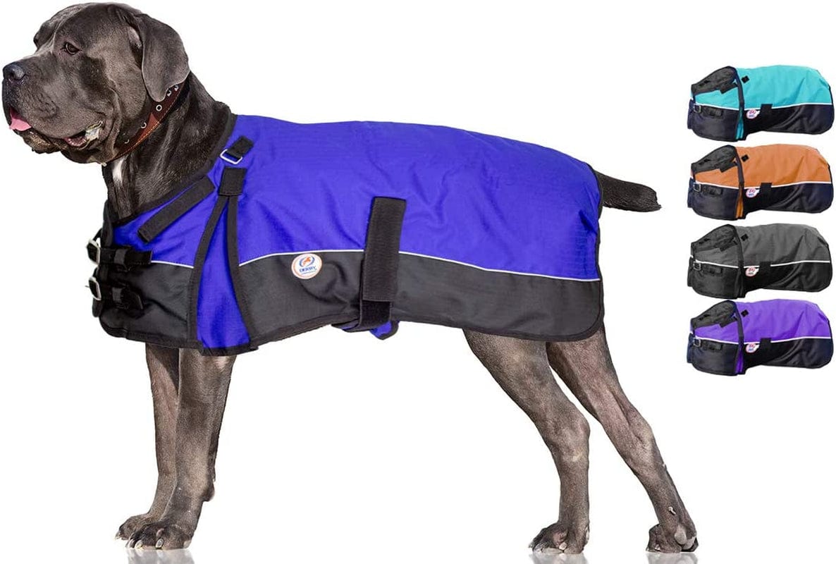 Derby Originals Horse Tough 600D Ripstop Waterproof Reflective Winter Dog Coat 150G Medium Weight, Black, 28.5" Animals & Pet Supplies > Pet Supplies > Dog Supplies > Dog Apparel Derby Originals Royal Blue XL (Length: 26.5 in)