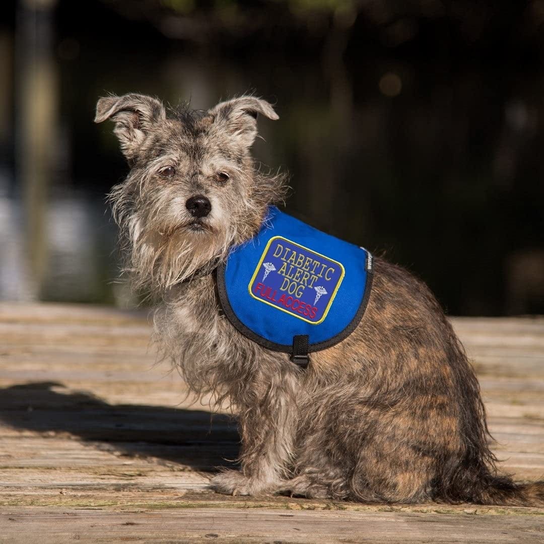"Diabetic Alert Dog - Full Access" Sew on Patch - Includes Five Service Dog Law Handout Cards – for Service Dog Vest or Harness Animals & Pet Supplies > Pet Supplies > Dog Supplies > Dog Apparel Working Service Dog