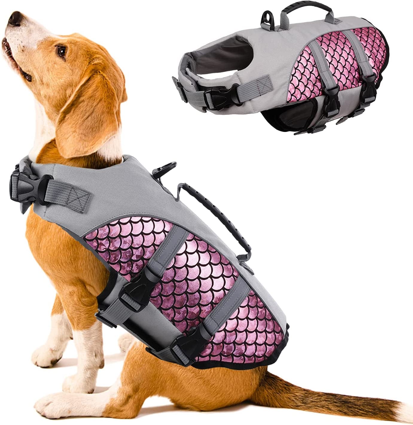 Giant dog best sale life jacket