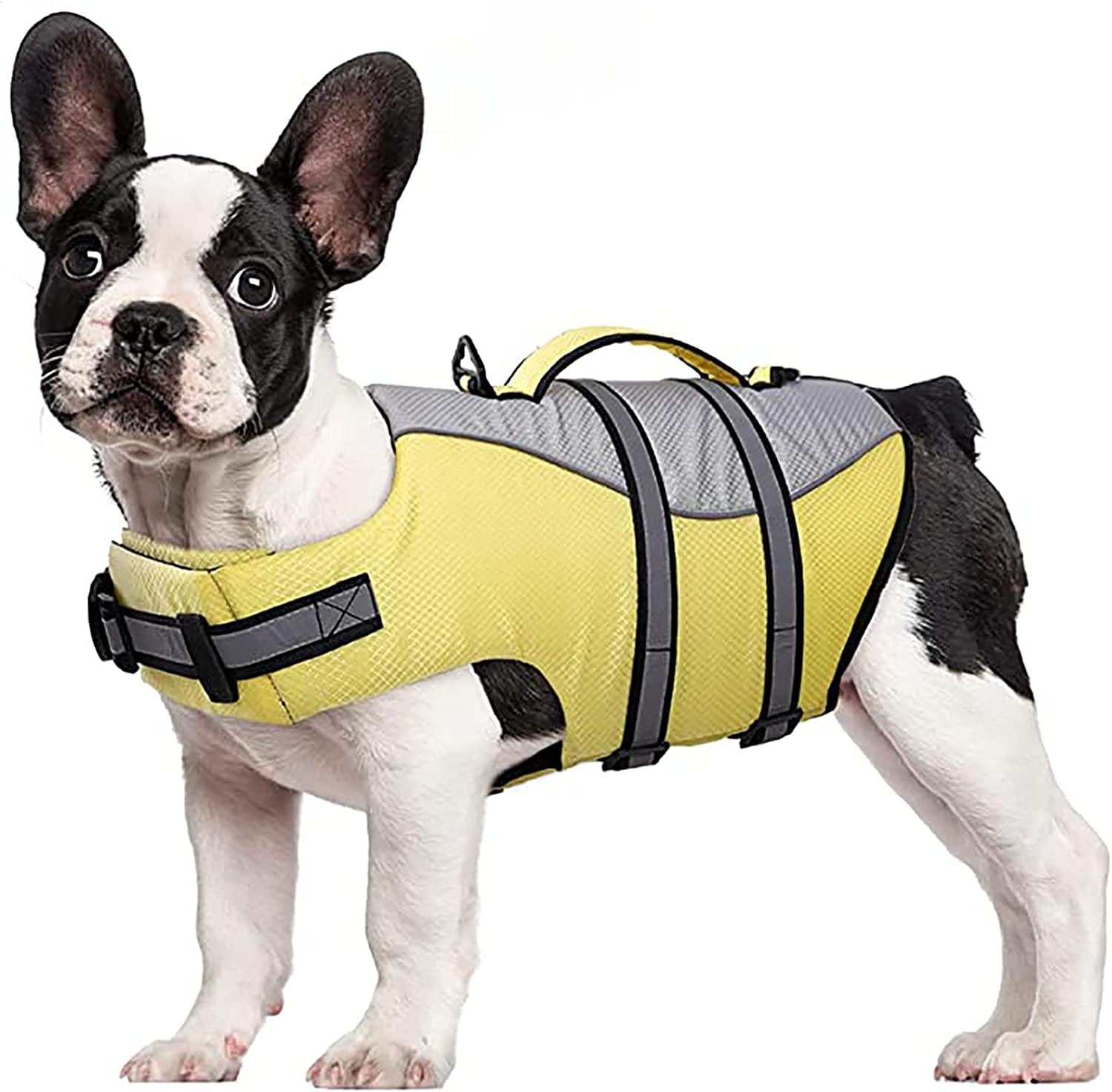 Dog Life Vest Summer Shark Pet Life Jacket Dog Clothes Dogs Swimwear Pets  Swimming Suit Dog Costumes Dog Clothes for Big Dogs